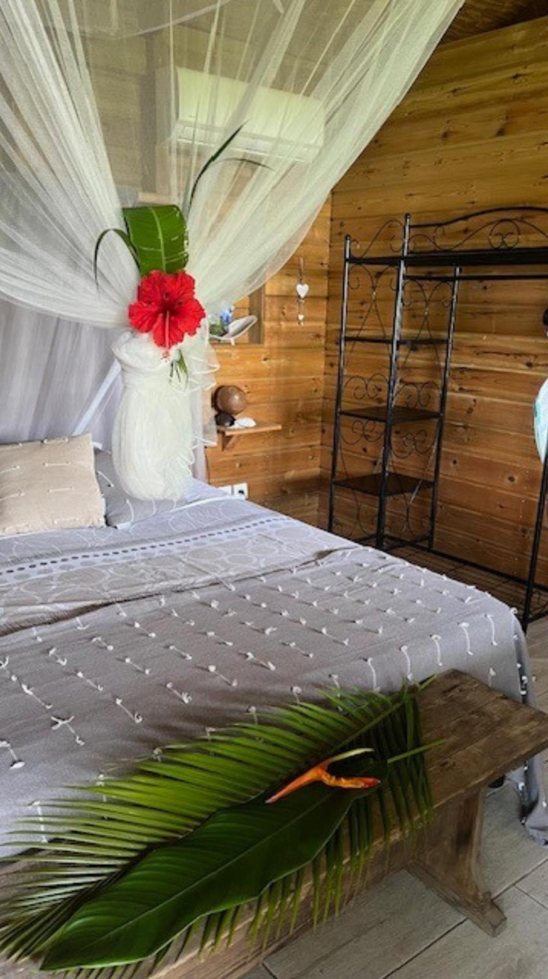 Bungalow La Tortue Bleue บูญองต์ ภายนอก รูปภาพ